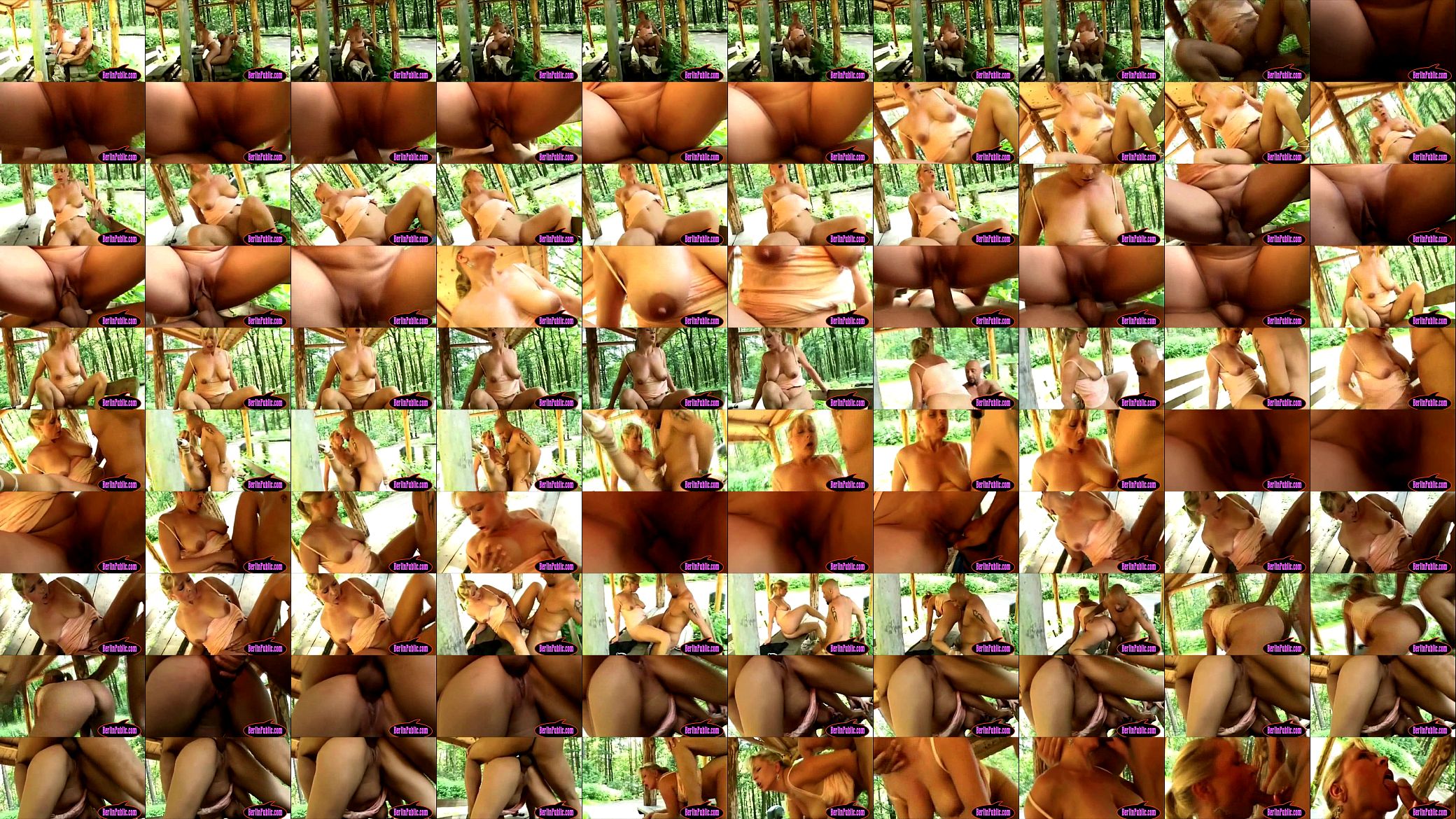 German outdoor fucking 预览图