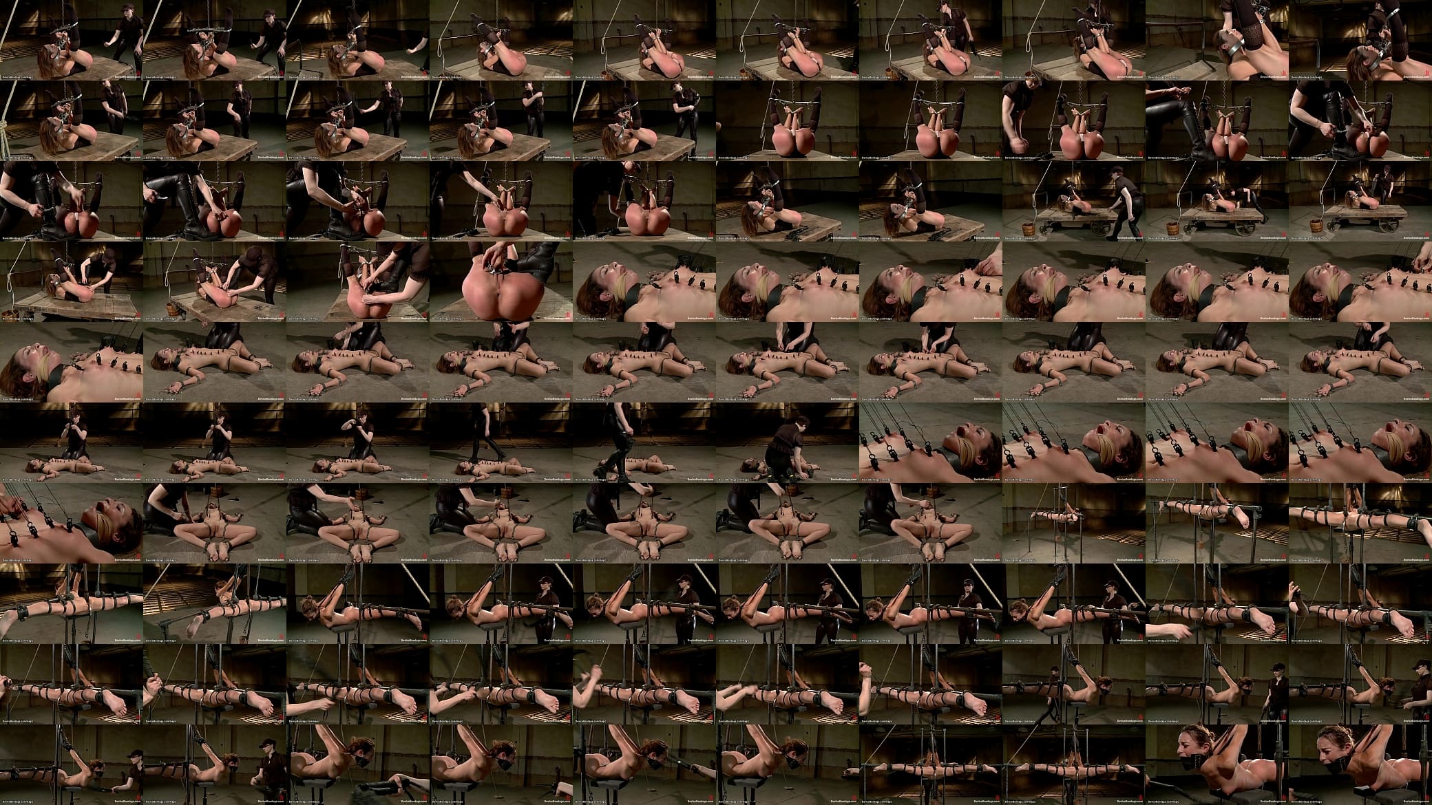 Bound lesbian whipped and flogged 预览图