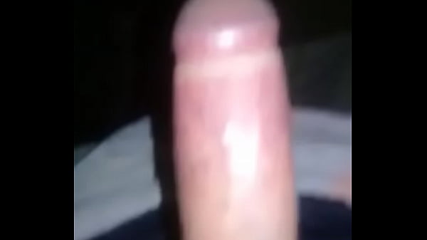 White cock
