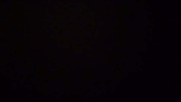 XVIDEOSWLENA