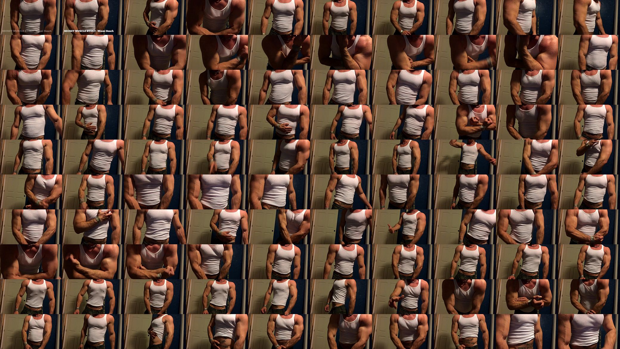 SECRET MUSCLE STORY 预览图