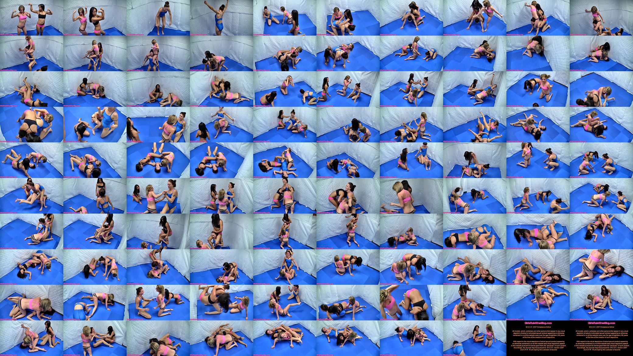 Three Girl Competitive Grappling 预览图