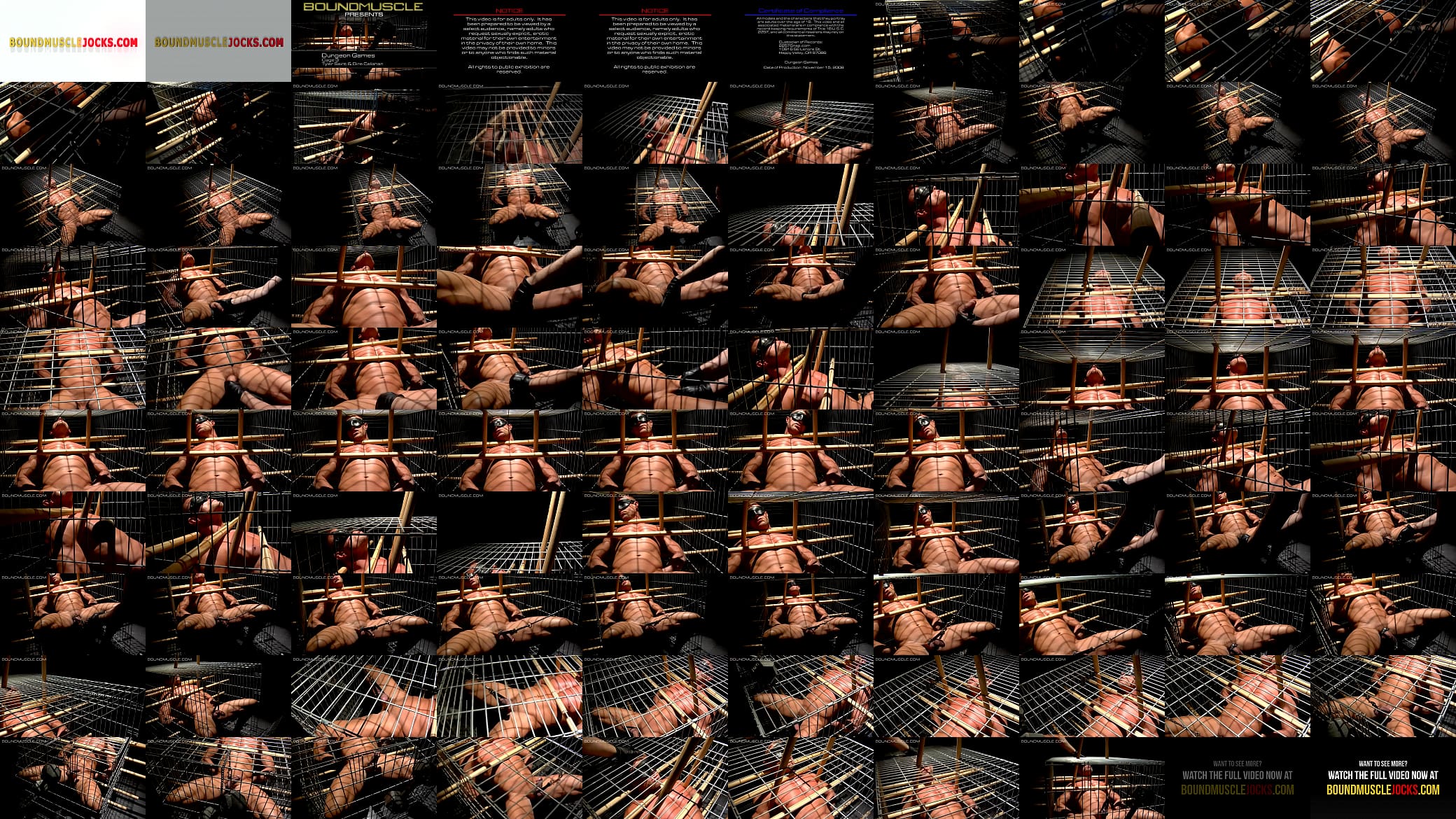 Caged Tyler Saint has a weight tied to his cock 预览图