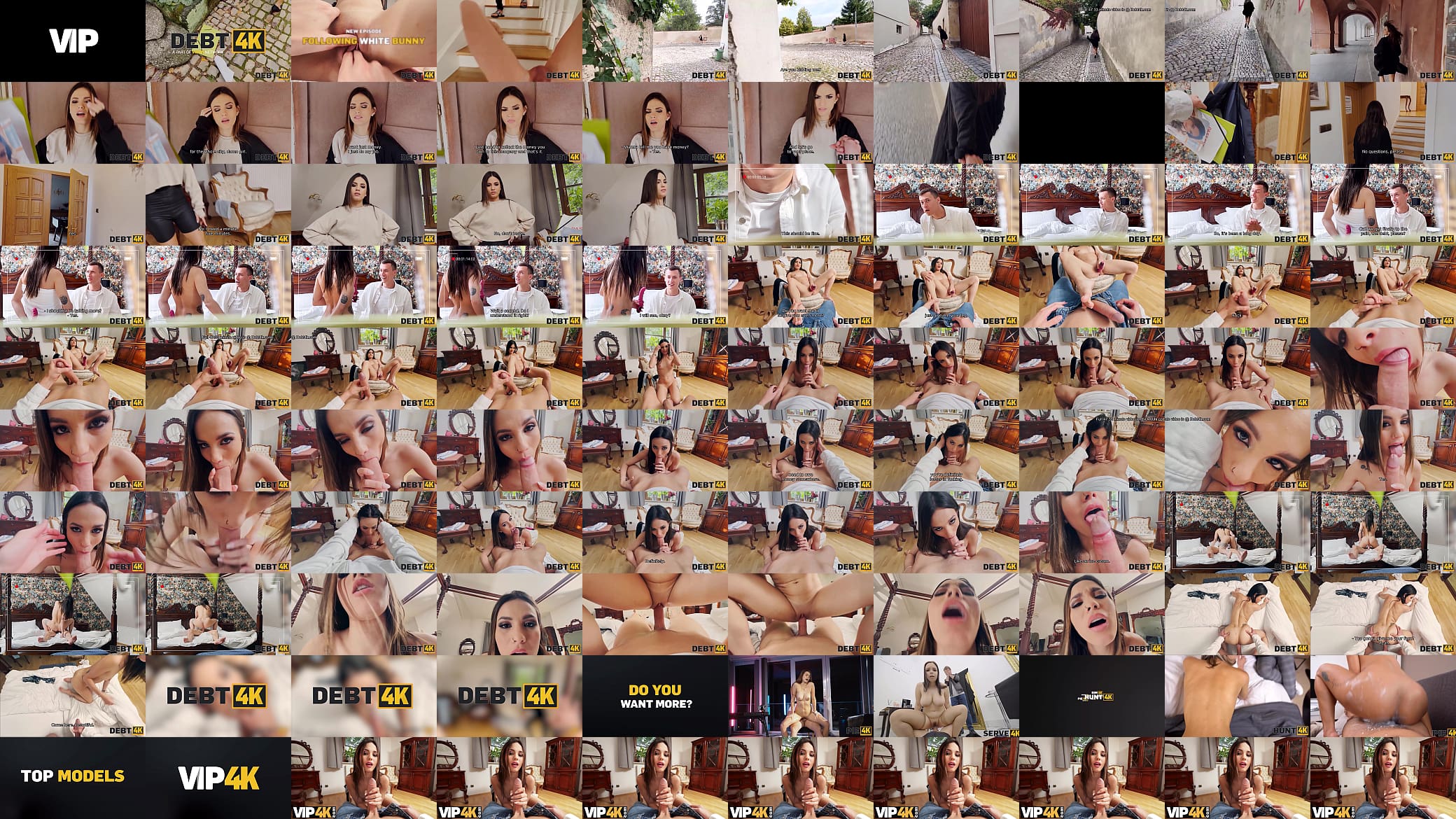 DEBT4k. Following White Bunny 预览图
