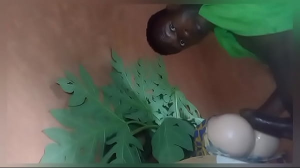 Cowgirl ass & black fuck hard cock porno