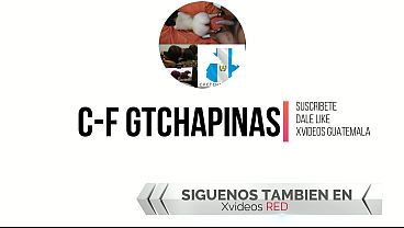 Nuevo juguete chapina le encanta estrenar juguetes vibrantes