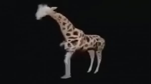 La oscura verdad sobre fede p