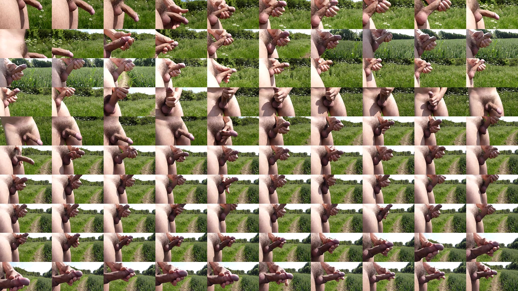Jerking in fields10 预览图