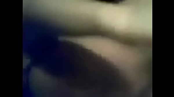 tracy - gf's y.