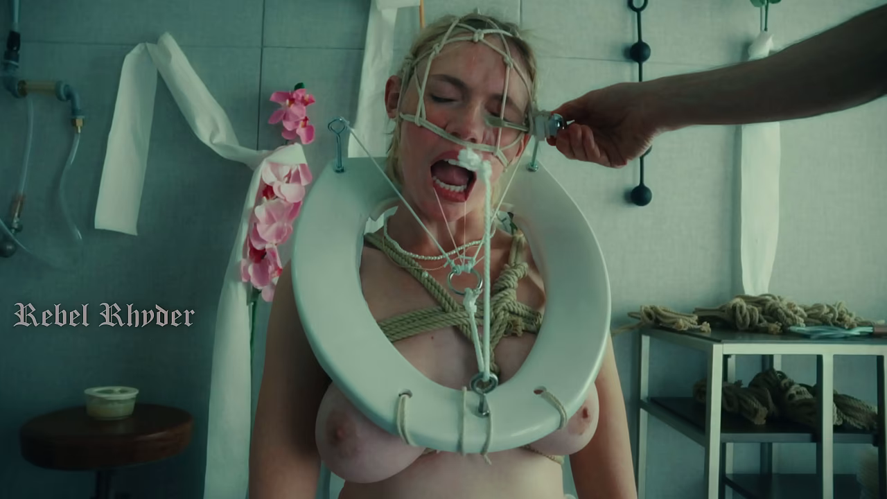 The most beautiful toilet pet in the world