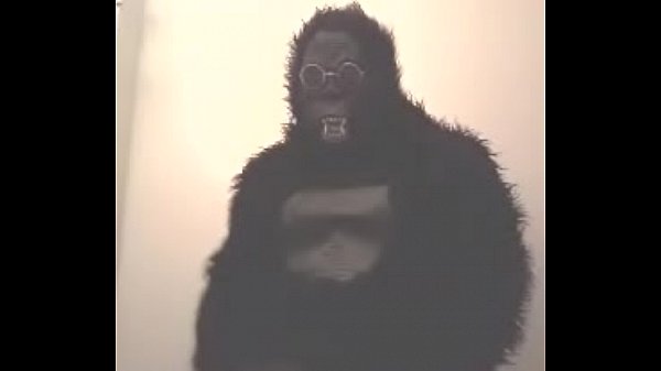 Download Video - Mr&period; Gorilla