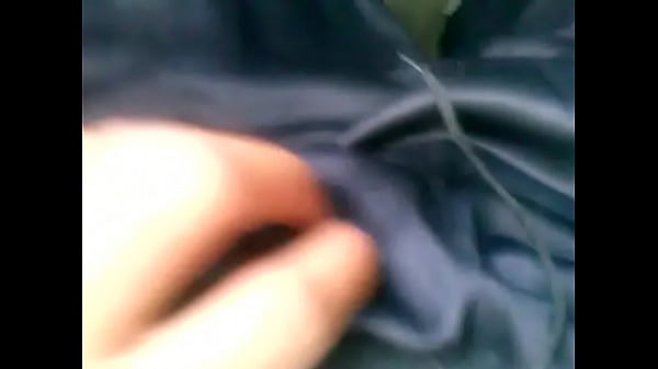 Paja en el camión df