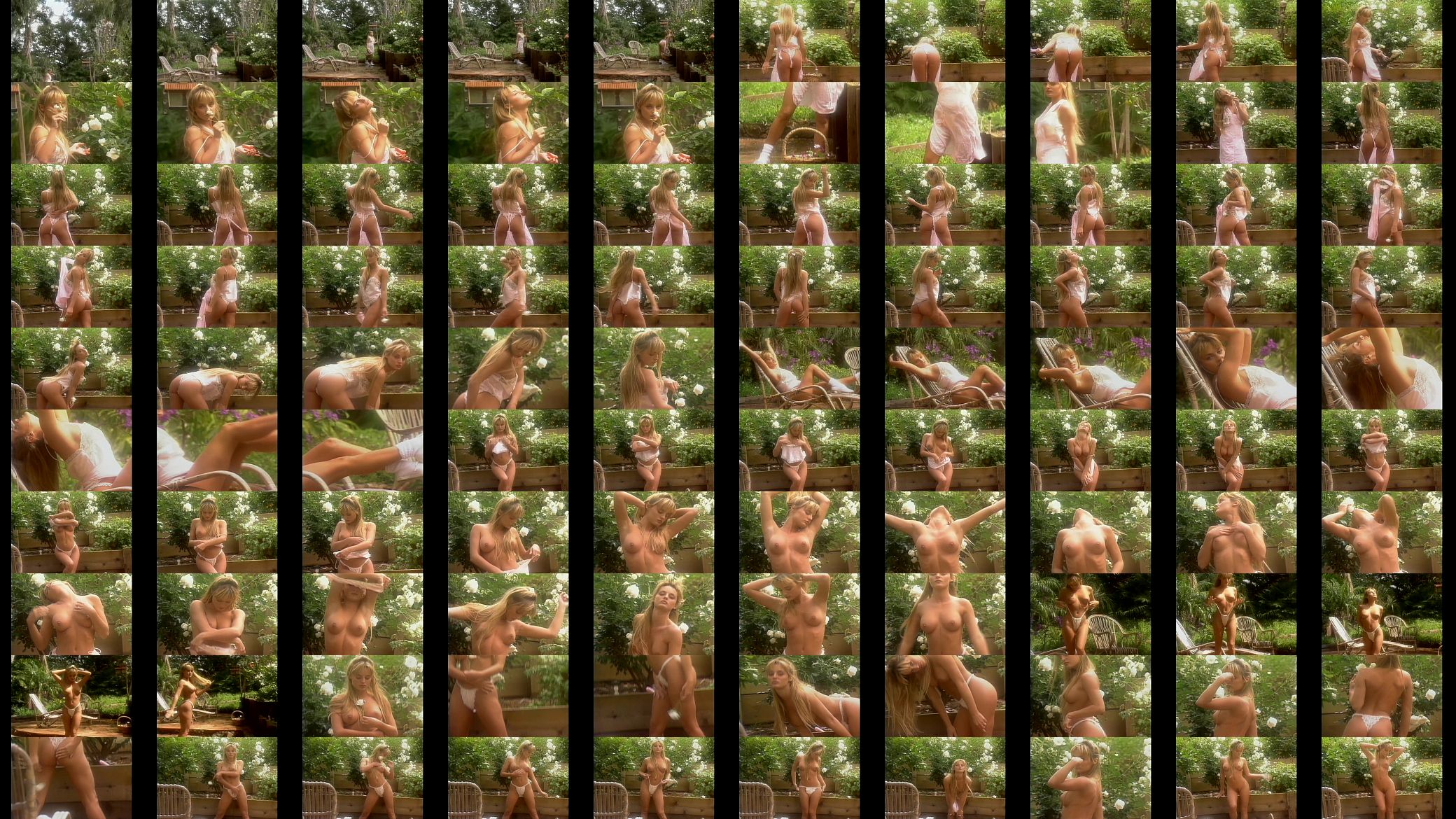 Heidi Lynne-Working Women 预览图
