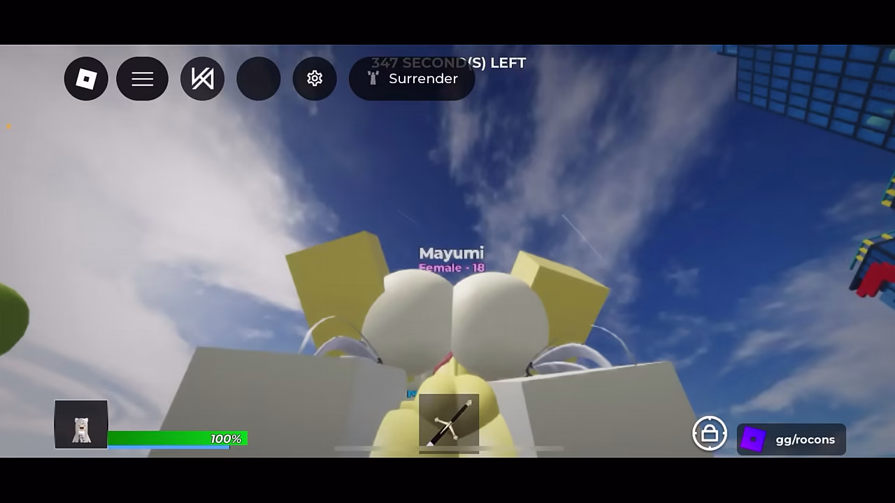 V&iacute_deo de verifica&ccedil_&atilde_o