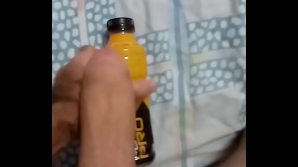 Floripa Lion 02