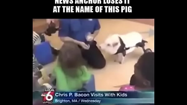 11967041 10153224155012711 1681436683 n (2)