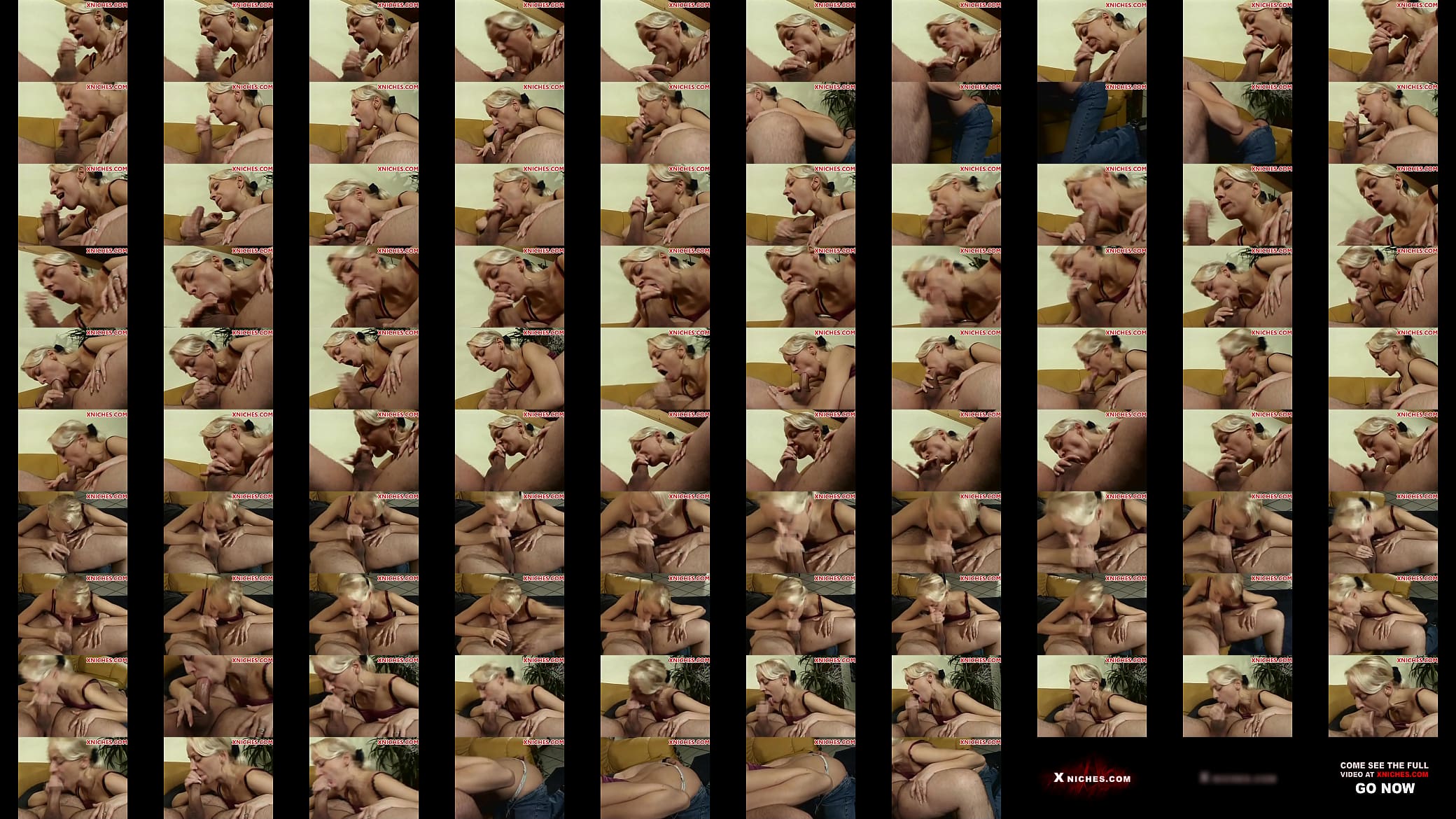 blonde milf mouth fucked 预览图