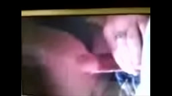 sister-in-law sucking my cock