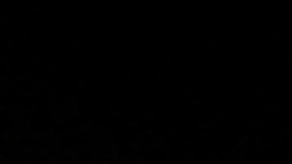 バカマンコるとは、オナニーでオーガニズムに達します