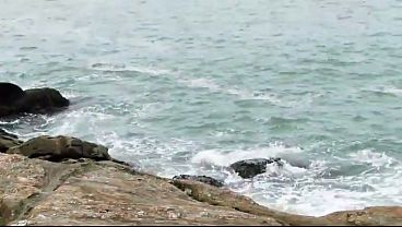 Two naughty married women getting a dick on the beach from a stranger.