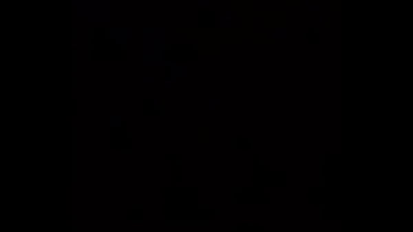  Wife’s Morning WAP 