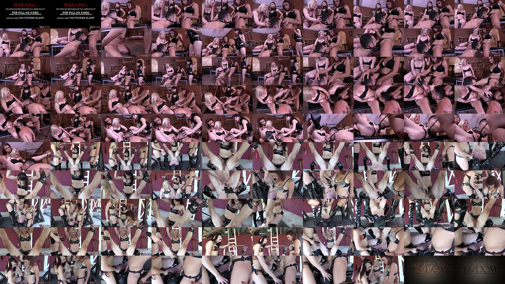 Femdom Beauties Train New Slave - ClubDom 预览图