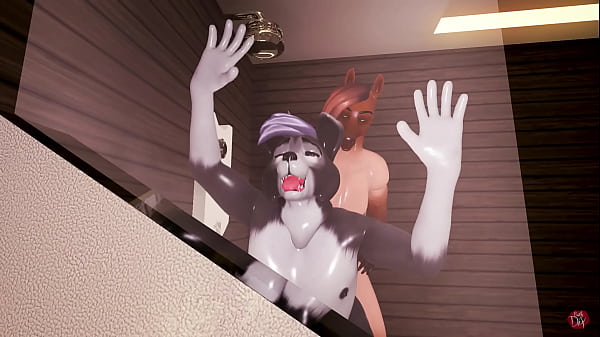 gay horse cum