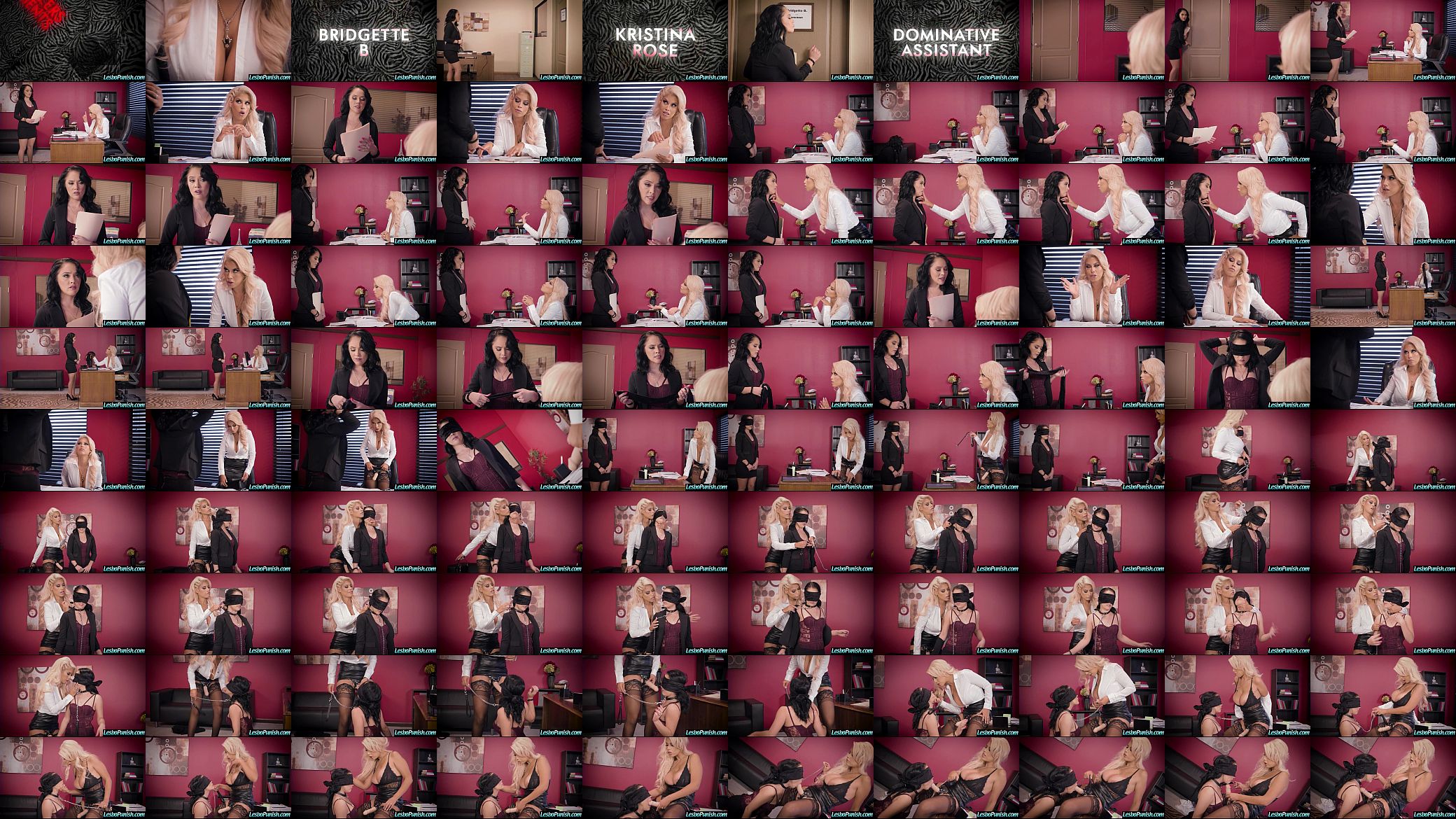 Punish Sex With Dildos Used By Lesbian Girls (Kristina Rose &amp; Bridgette B) vid-19 预览图