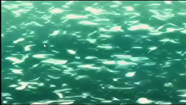 hentai – j&rsquo;ai baisé ma demi-sœur