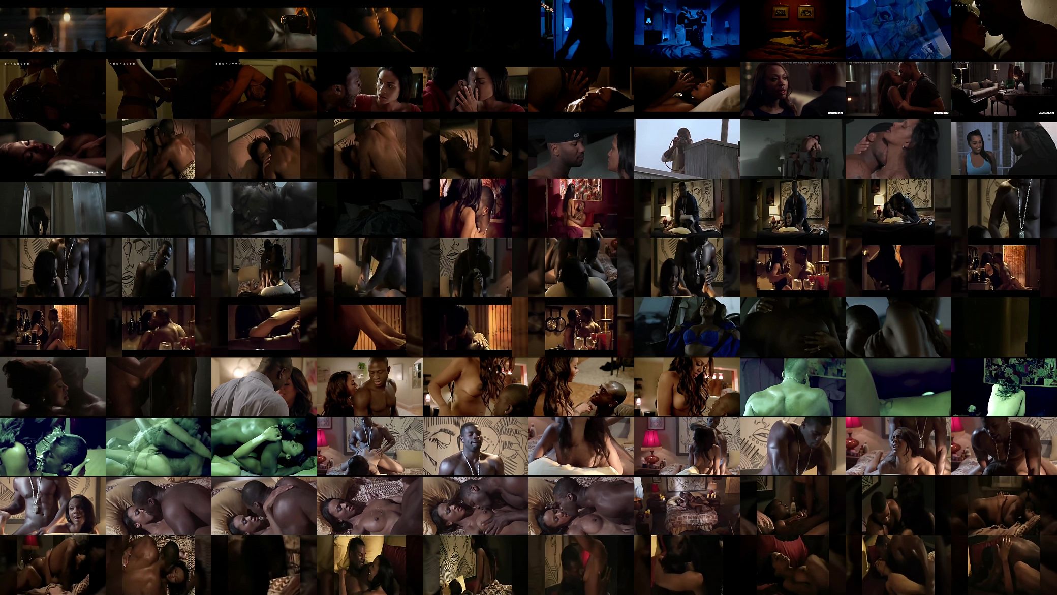 Black/Ebony Sex Scenes Compilation 预览图