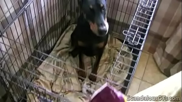 Download Video - Hot Babe Strips Naked And Sucks A Big Hard Cock