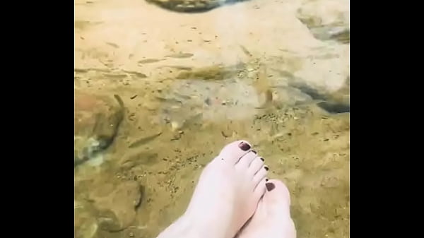 Pezinhos com peixinhos