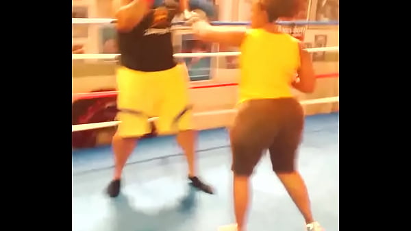 Big Booty Boxing