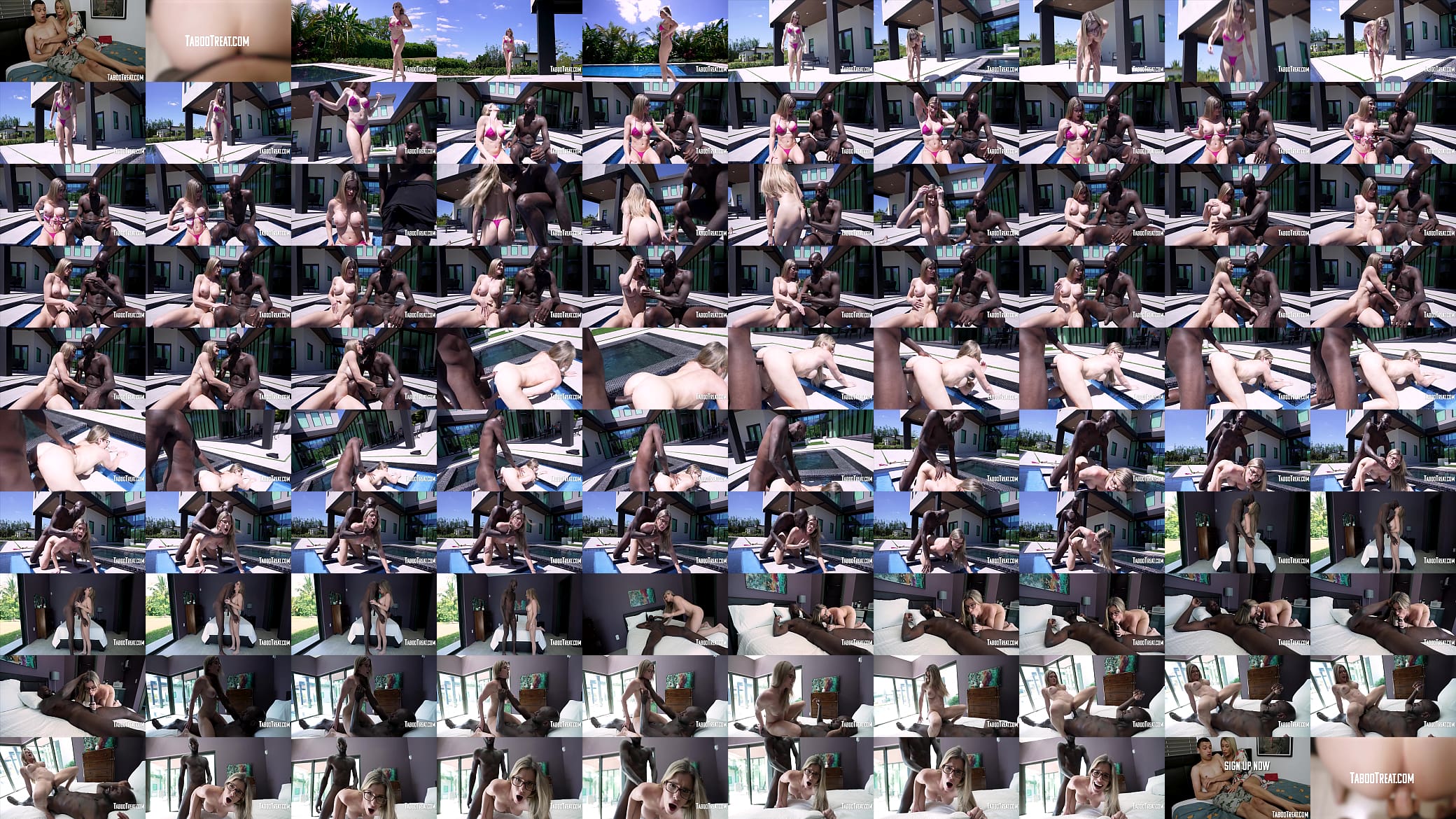 Blonde Wife Boned By BBC By The Pool 预览图