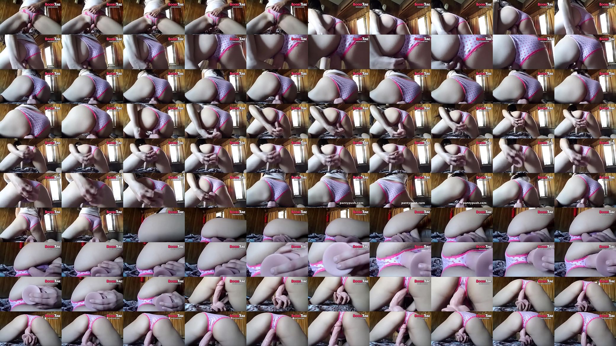 Girl&#039;s wet panties absorb horny penis inside the sweet hole 预览图