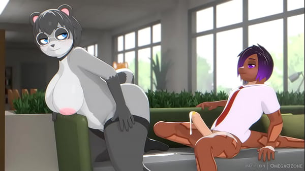 Discipline Des Bibliothèques