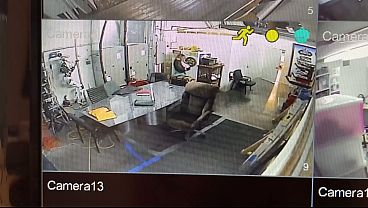 security cam exibitionist masturbation