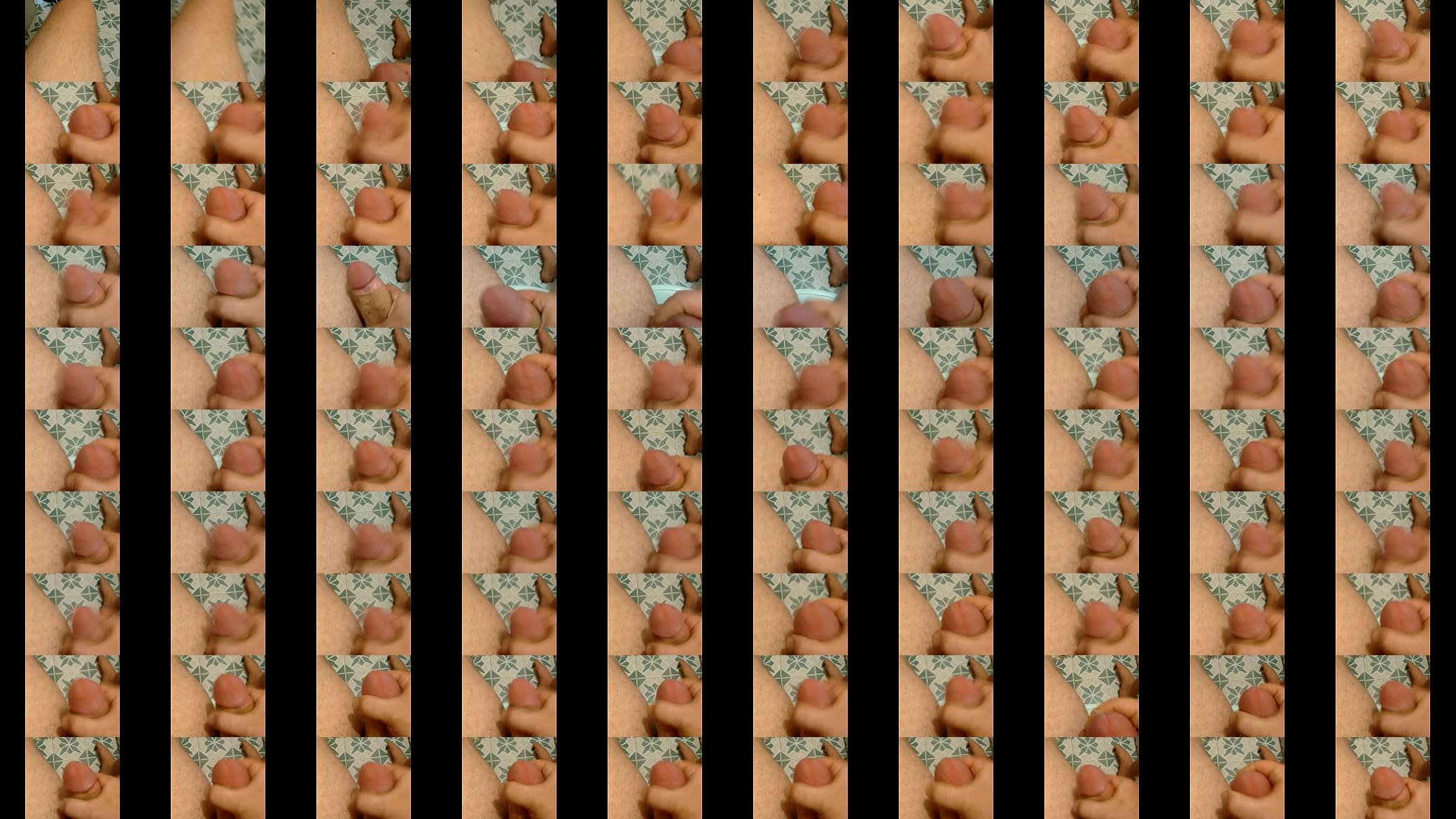 Jalandomela 预览图