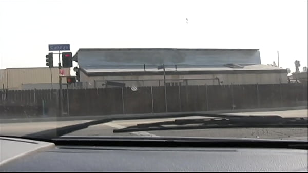 The only thing Sydney Capri is upwardly mobile on is a thick cock before her ass crashes...