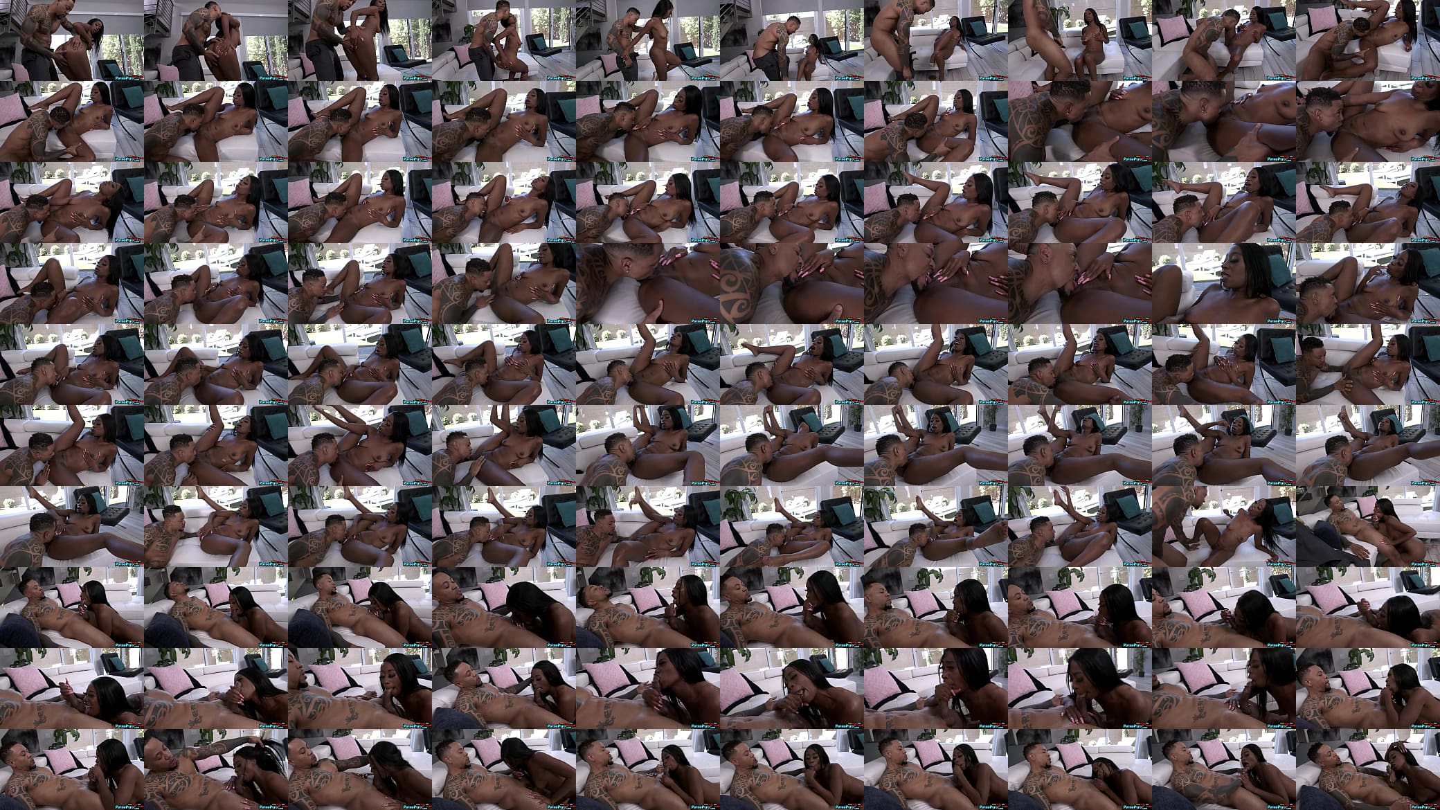 Mocha Menage Gets Her Ebony Pussy Eaten Out By Her Agent Eddie Jaye 预览图