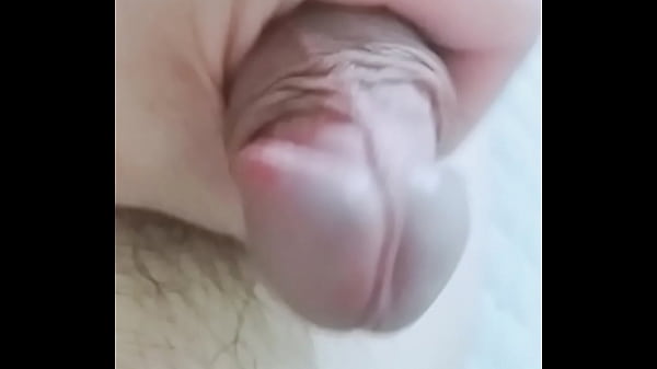 Vuốt chim, chăm chim