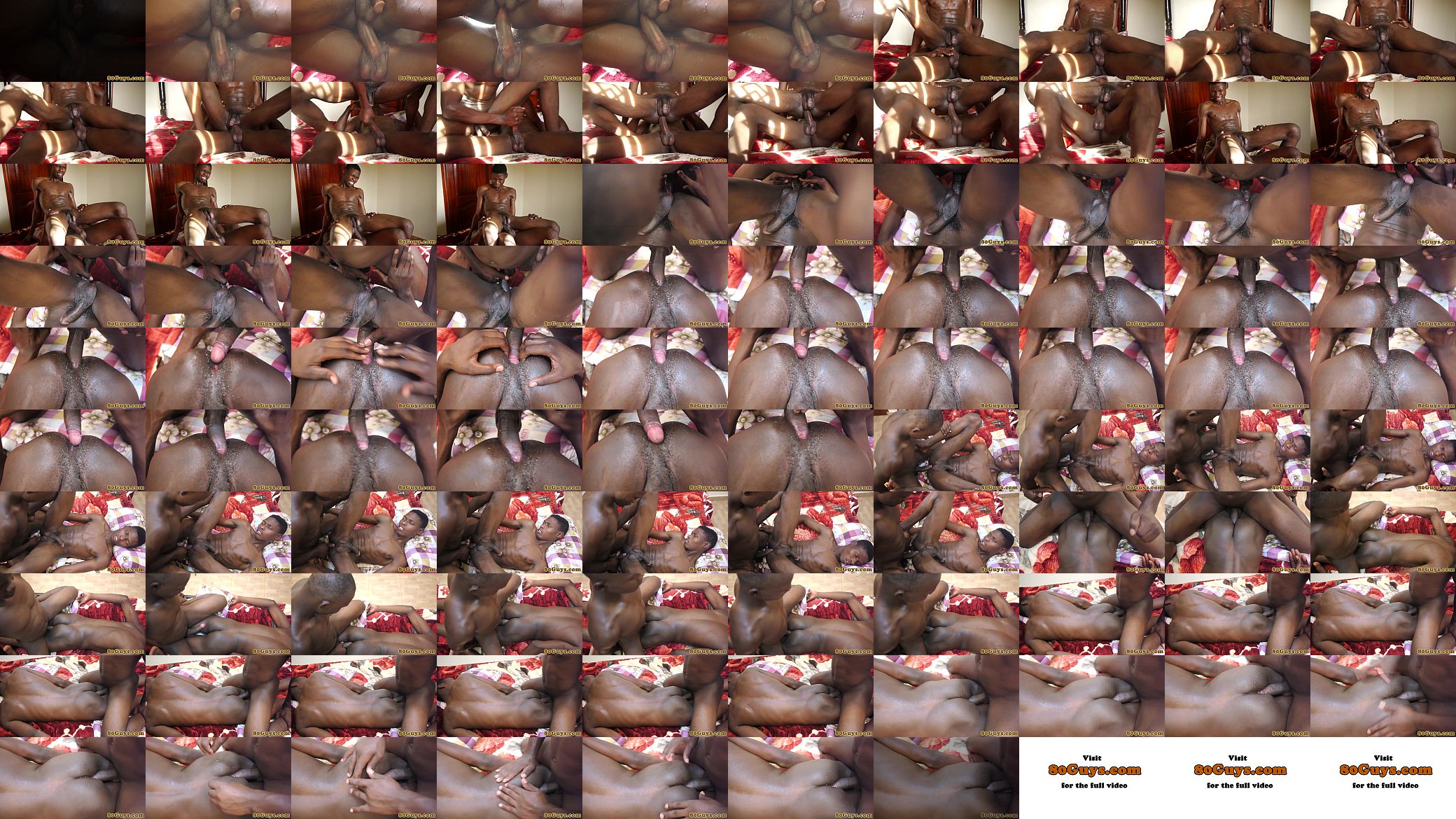 Amateur african twinks bareback 预览图