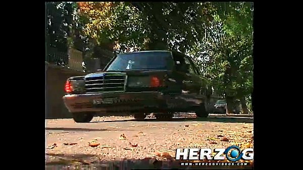 Herzog Videos Classic German porn filth video