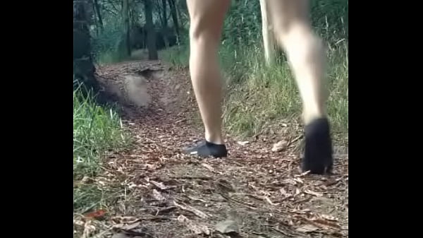 En el bosque Pt 01