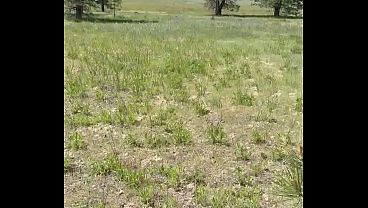 Driving four wheelers