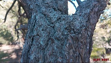 Slut Hunt Ep.10: Willow Gets Wrecked & Pissed On