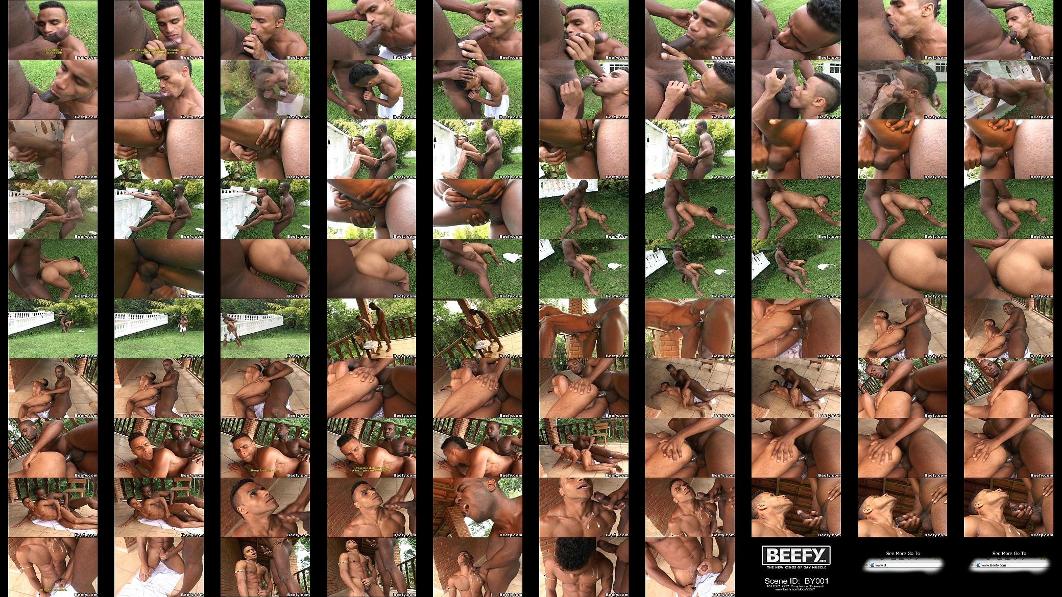 Hard Beefy Outdoor Fuck and Juicy Suck 预览图