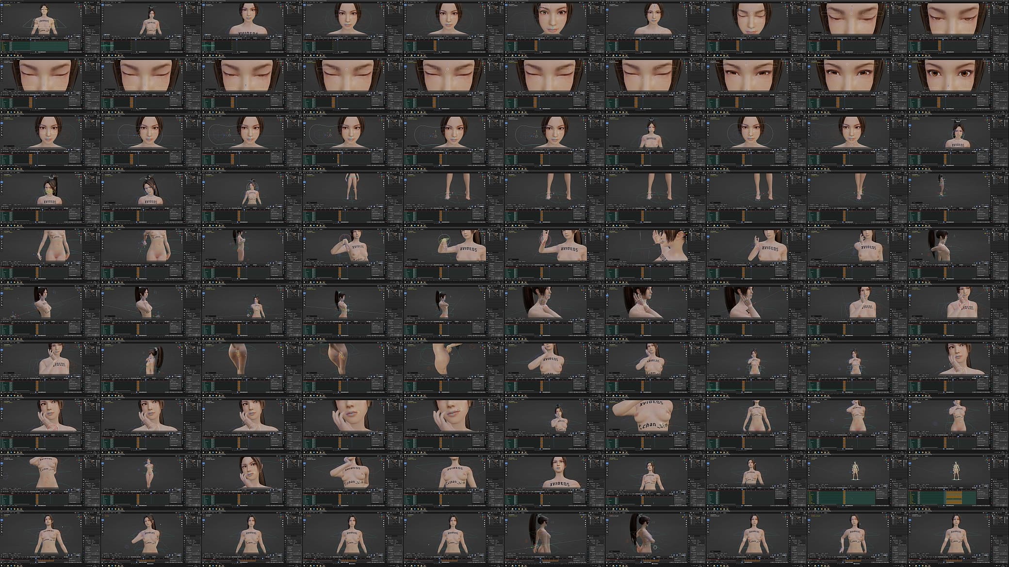 Verification video 预览图