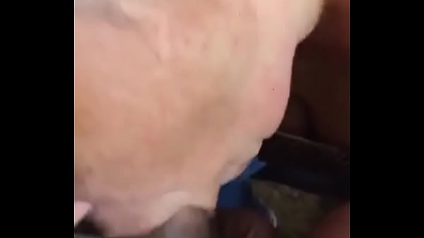 La Pipe Du Voisin