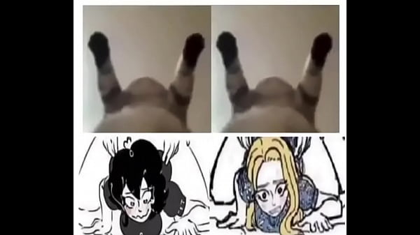 Gatos solando as mina na pika kkkkkkkkk
